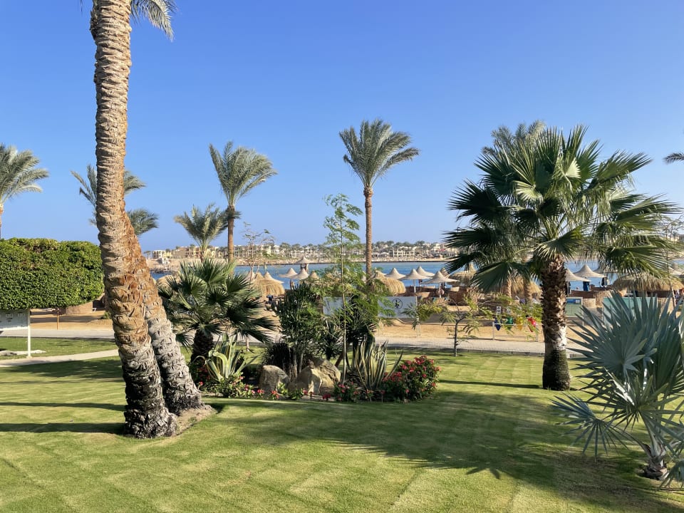 Ausblick Steigenberger Coraya Beach - Adults only