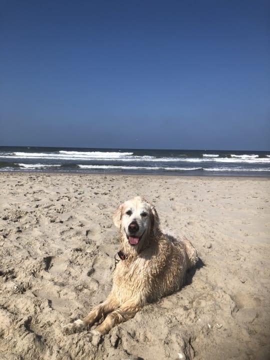 Strand Roompot Vakantiepark Kijkduin