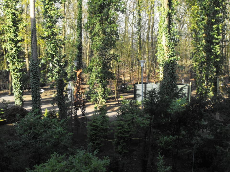 Park Waldhotel Tannenhäuschen