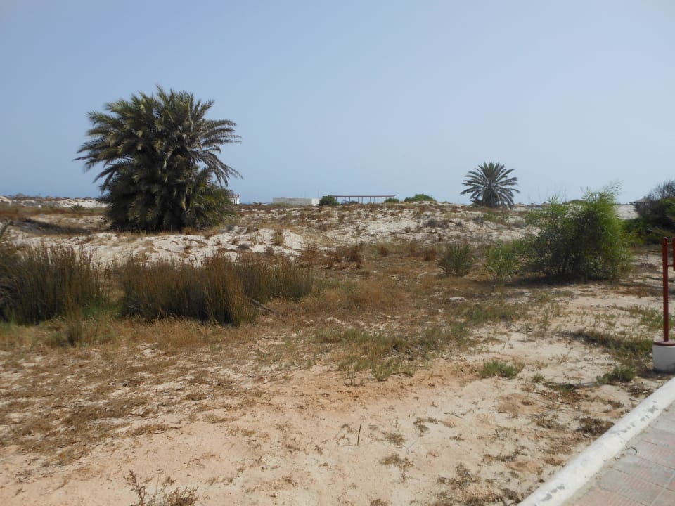 Weg zum Strand  500 m Djerba Aqua Resort