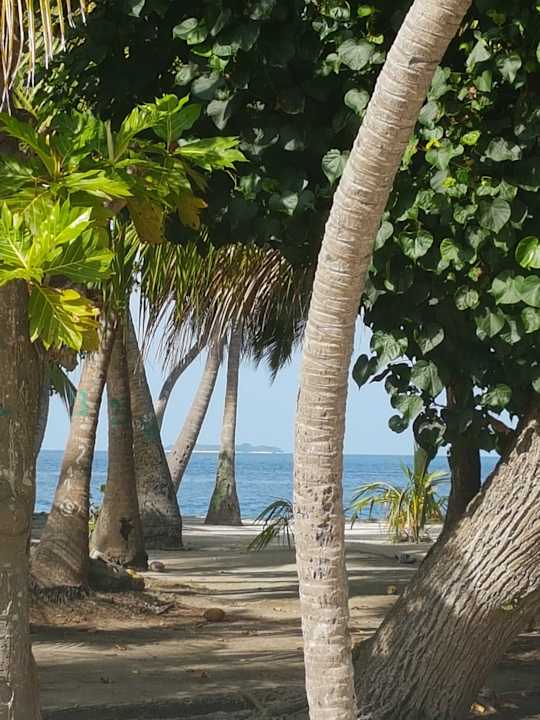 Ausblick NH Collection Maldives Reethi Resort