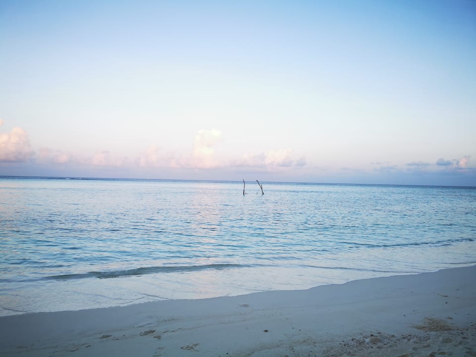 Ausblick Summer Island Maldives