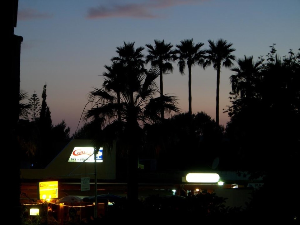 Blick Richtung Garten/Spielplatz/Animation Hipotels Mediterraneo Club