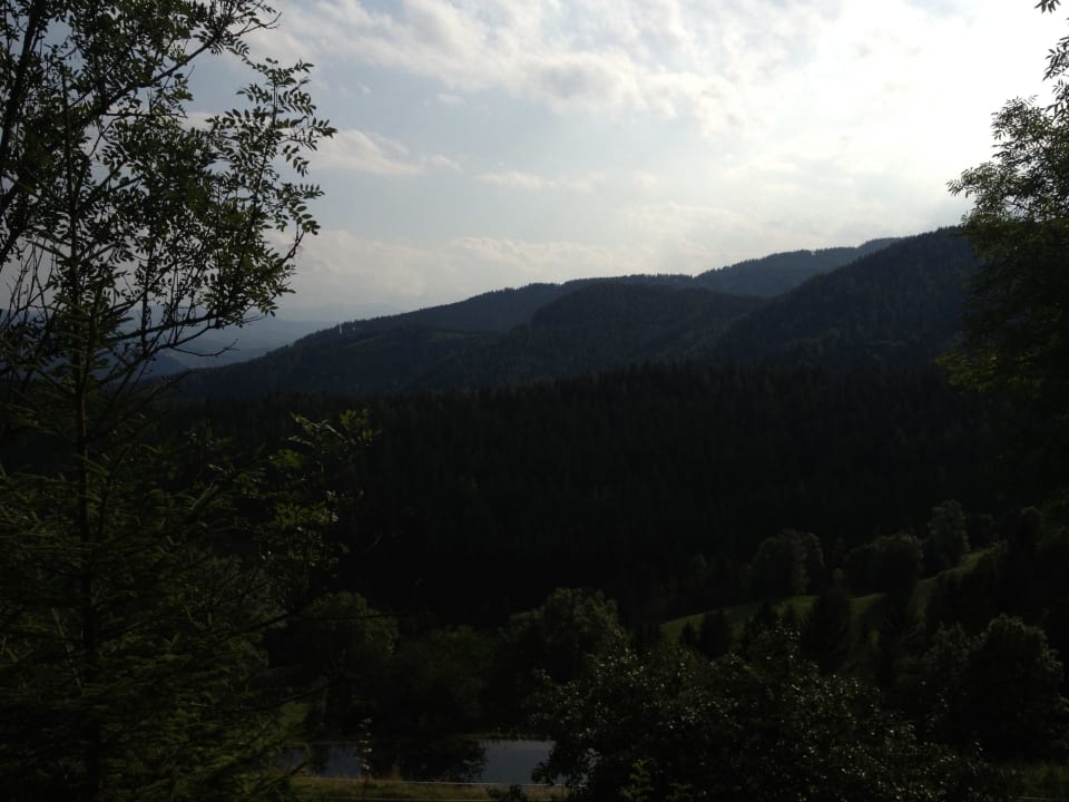 Bienenalm LUXGUT - OLIVIA