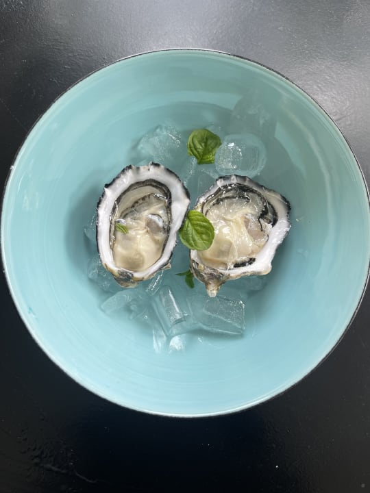 Gastro Casa Major Hotel & Appartamenti Cervia