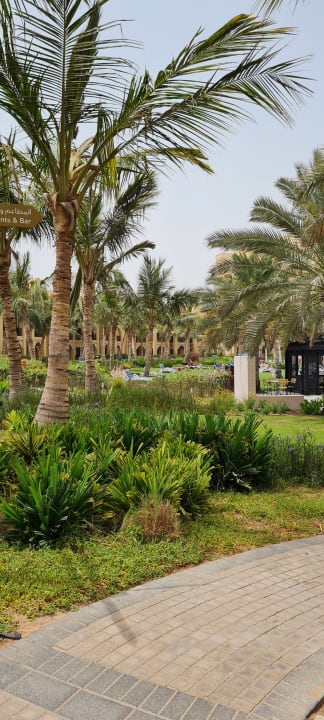 Gartenanlage DoubleTree by Hilton Resort & Spa Marjan Island