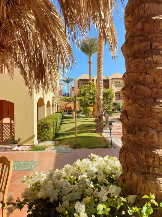 Gartenanlage Jaz Makadi Saraya Resort
