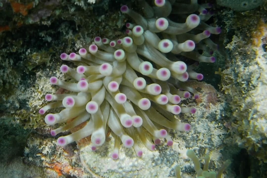 Sport & Freizeit Akumal Bay Beach & Wellness Resort