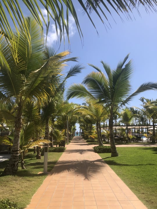 Gartenanlage Hotel Riu Palace Punta Cana