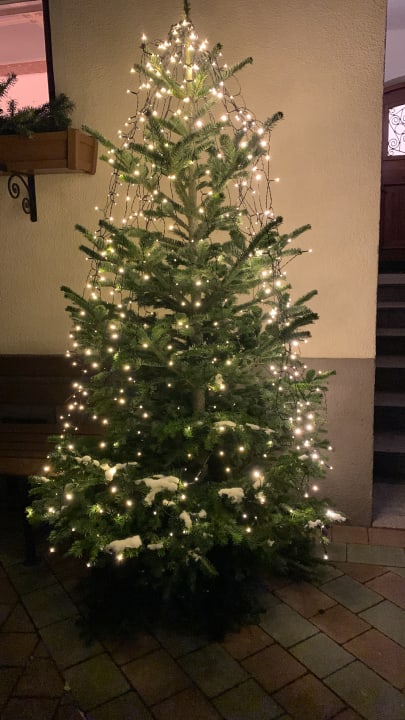 Sonstiges Bio-Holzhaus & Landhaus Heimat