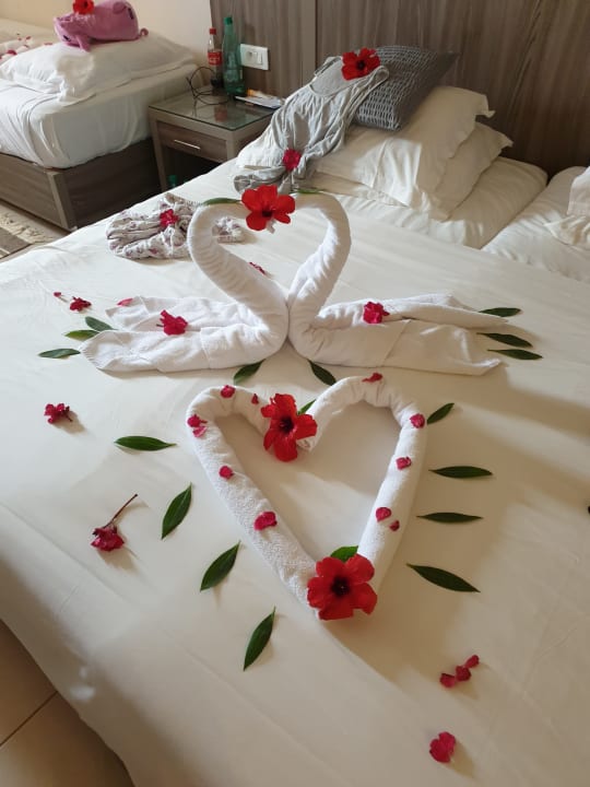 Zimmer Iberostar Waves Mehari Djerba