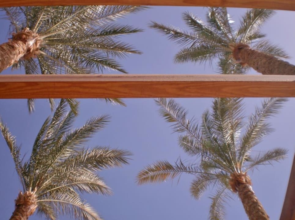 Fischrestaurant Makadi Spa - Adults only