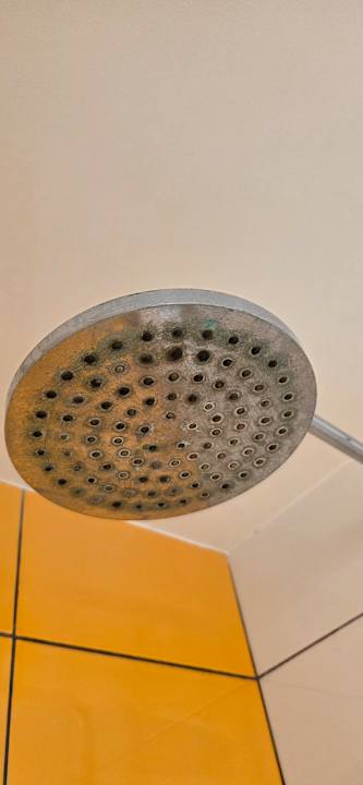 Zimmer Bull Dorado Beach & Spa