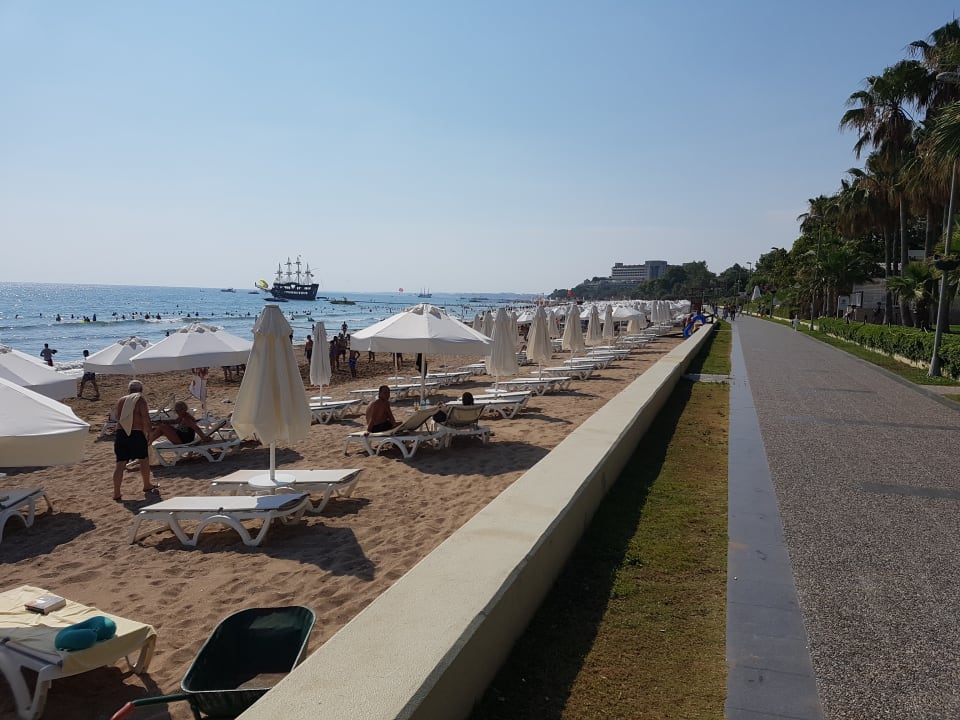 Ausblick Acanthus Cennet Barut Collection