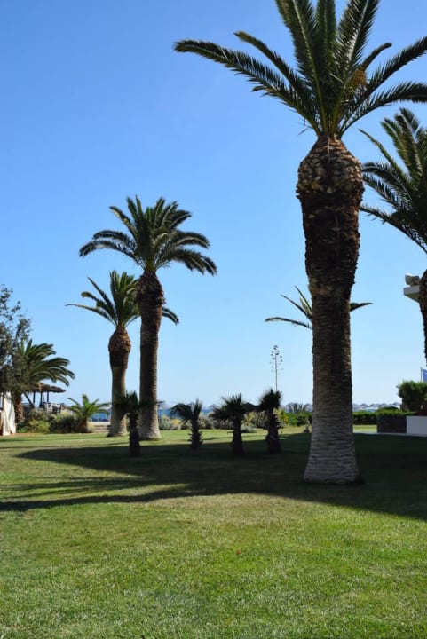 Vom Aktivpool aus gesehen Calimera Sirens Beach