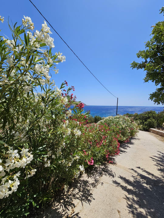 Außenansicht Aegean Village Beachfront Resort