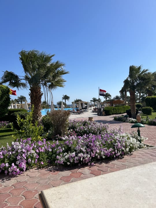 Gartenanlage Three Corners Fayrouz Plaza Beach Resort