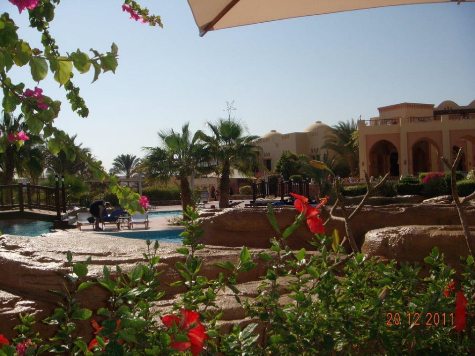 Blick von Poolbar Steigenberger Coraya Beach - Adults only