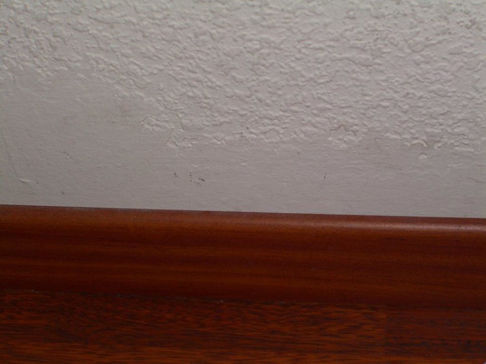 Wand/Sockelleiste Hotel Enziana Wien