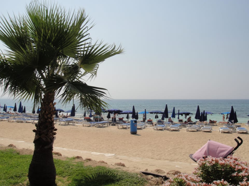 Strand Asterias Beach
