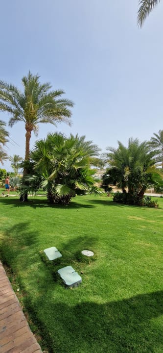 Gartenanlage Steigenberger Coraya Beach - Adults only