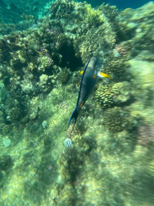 Strand Three Corners Happy Life Beach Resort