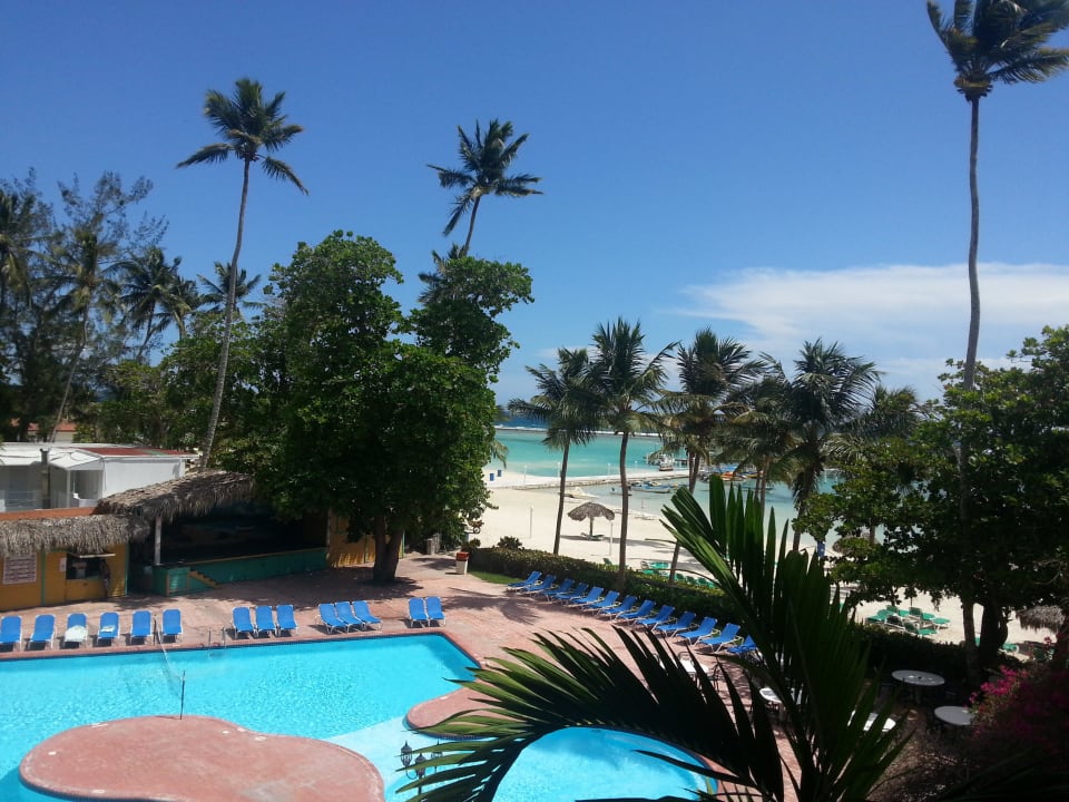 Pool whala!boca chica