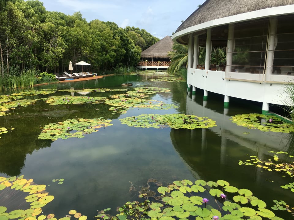 Pool Dreamland The Unique Sea & Lake Resort / Spa
