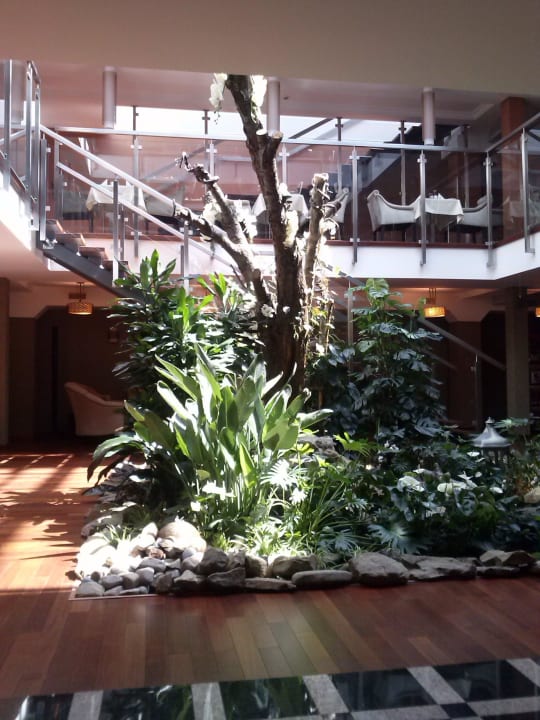 Ogród w środku hotelu Czarny Potok Resort&Spa