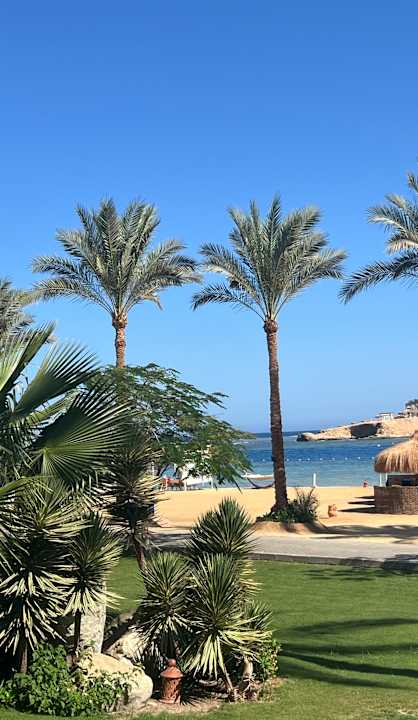 Strand Steigenberger Coraya Beach - Adults only