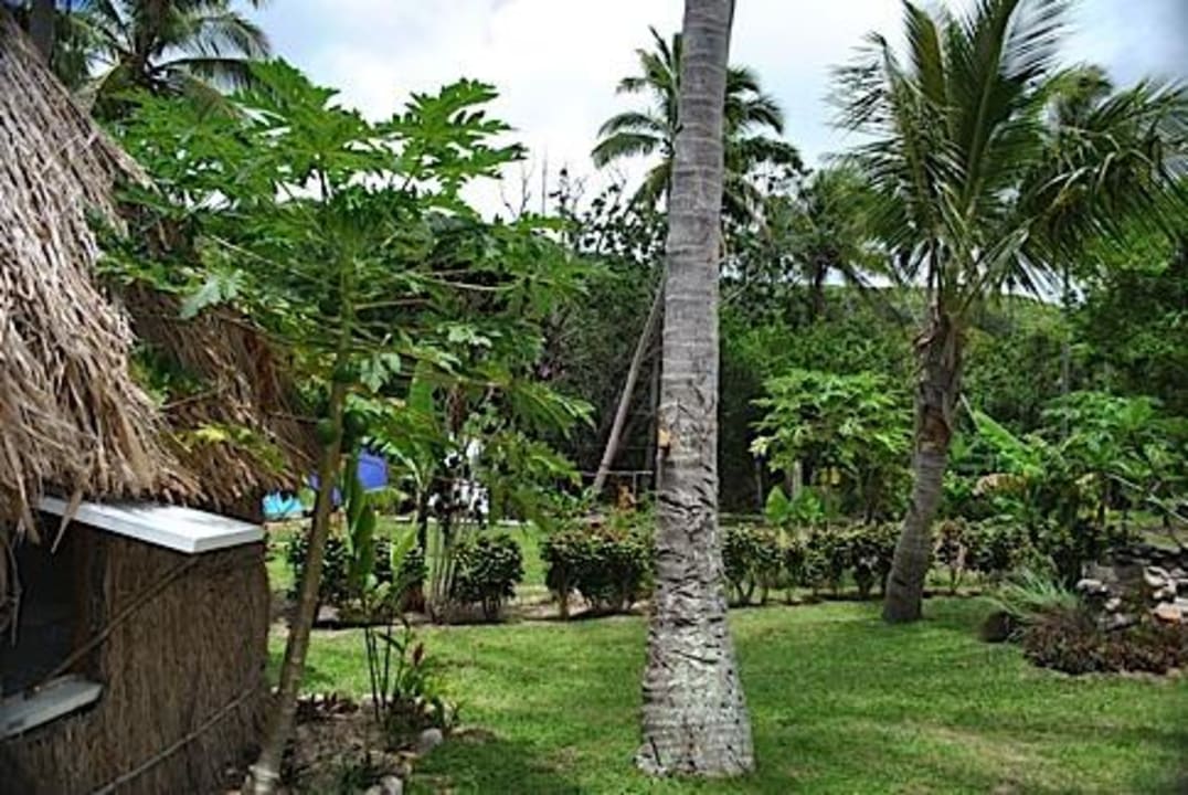 Some of the gardens on the 10 acres at Waisalima Waisalima Beach Resort & Dive Centre