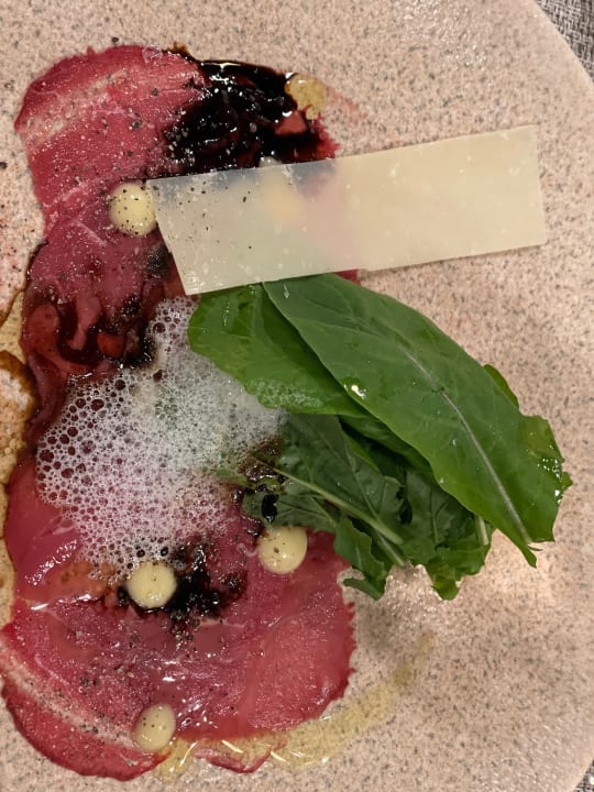 Gastro Acanthus Cennet Barut Collection