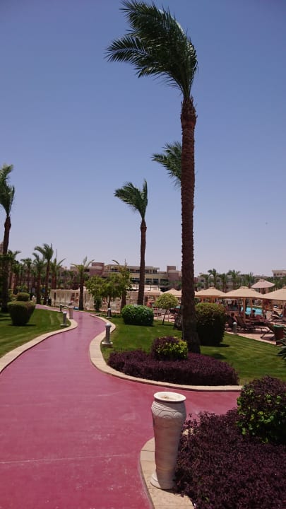 Gartenanlage Pickalbatros Palace Resort