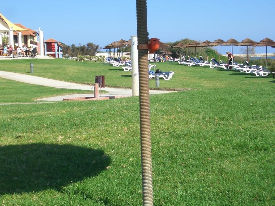 Liegen gibt es hier genug ROBINSON CYPRUS