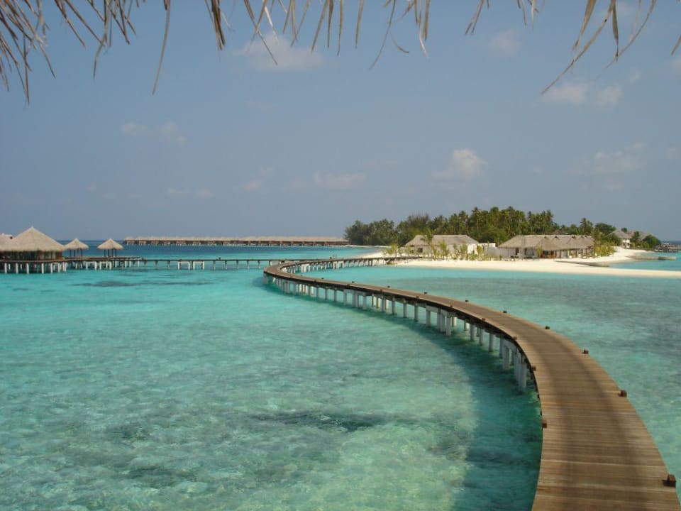 Bodu Hithi Coco Bodu Hithi