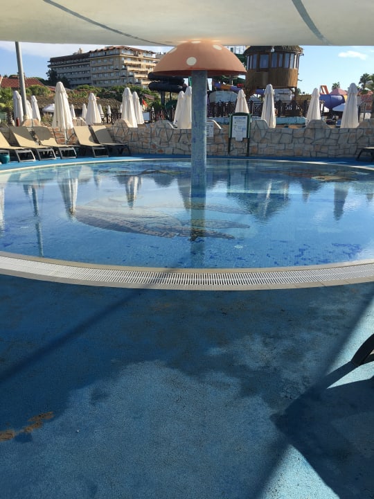 Pool Papillon Belvil