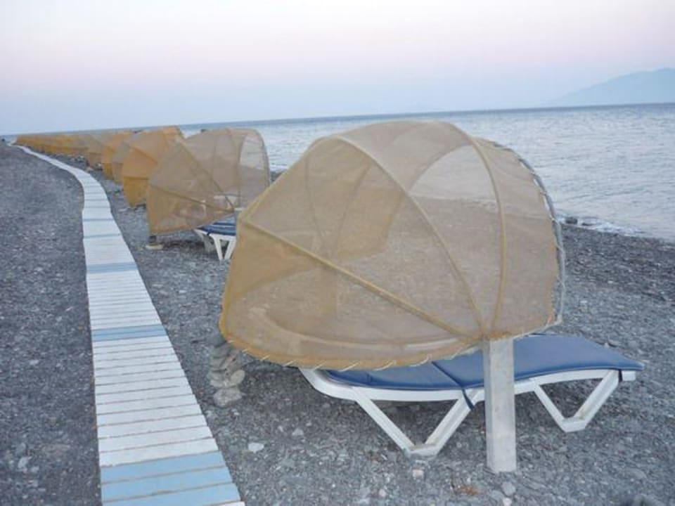 Beach Dimitra Beach Hotel & Suites