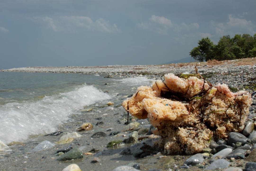 Angespült alltoura Club Hotel Poseidon Palace