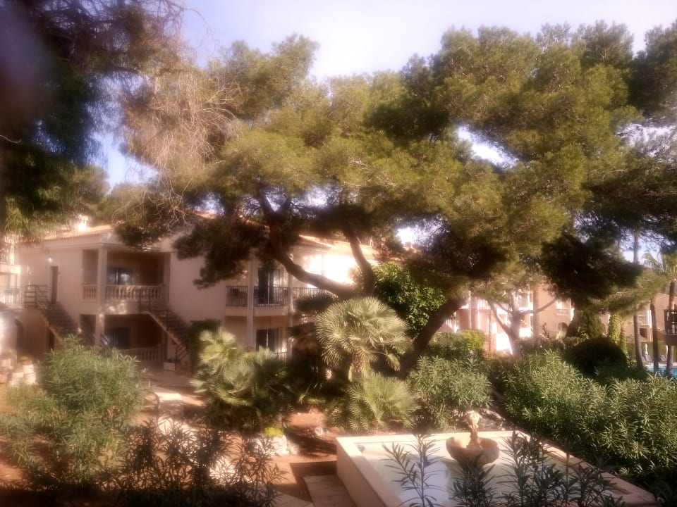 Ausblick R2 Lago Playa Park