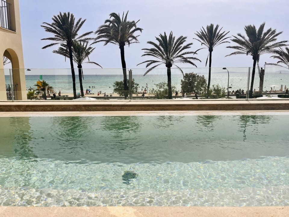 Pool Myseahouse Flamingo - Adults only