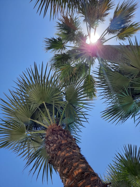 Pool Mitsis Rodos Village