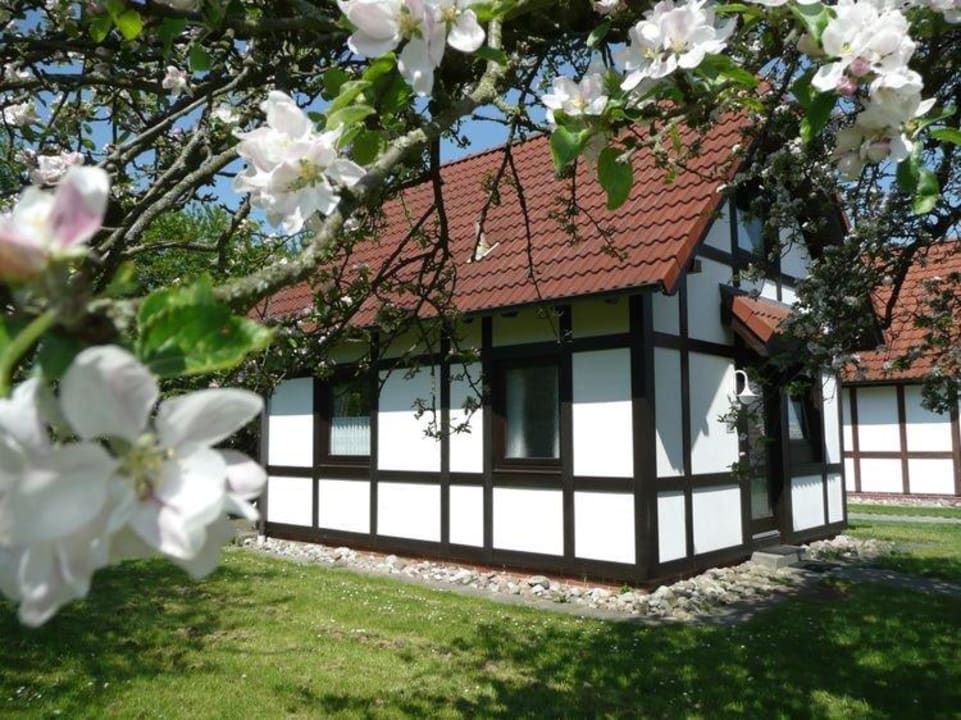 Deichgraf 65 Feriendorf Altes Land