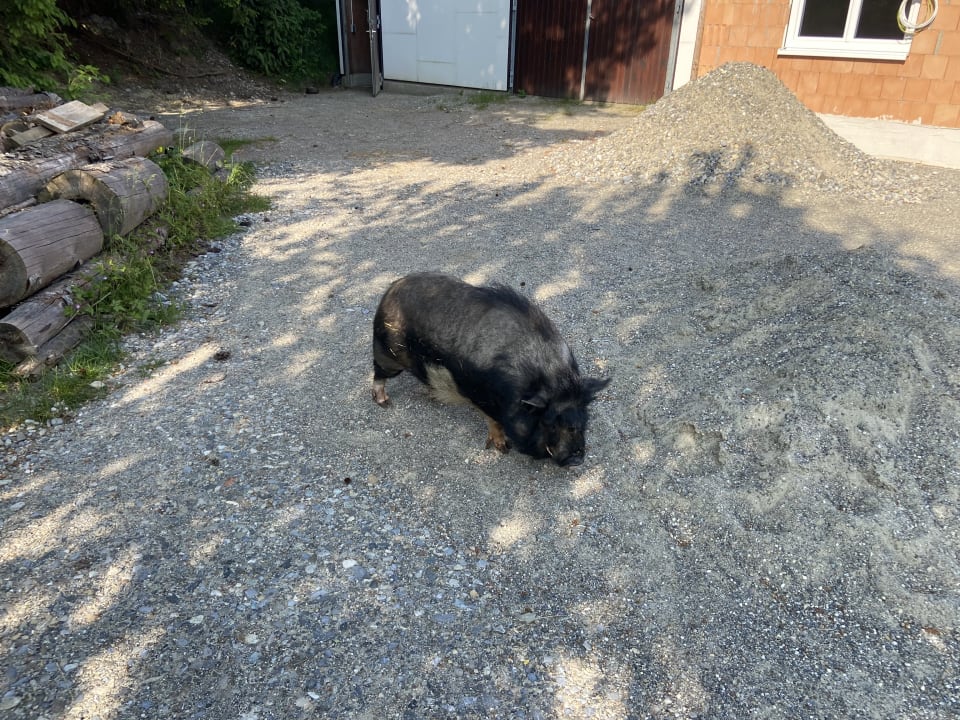Ausblick Ferienhof Uebelhör
