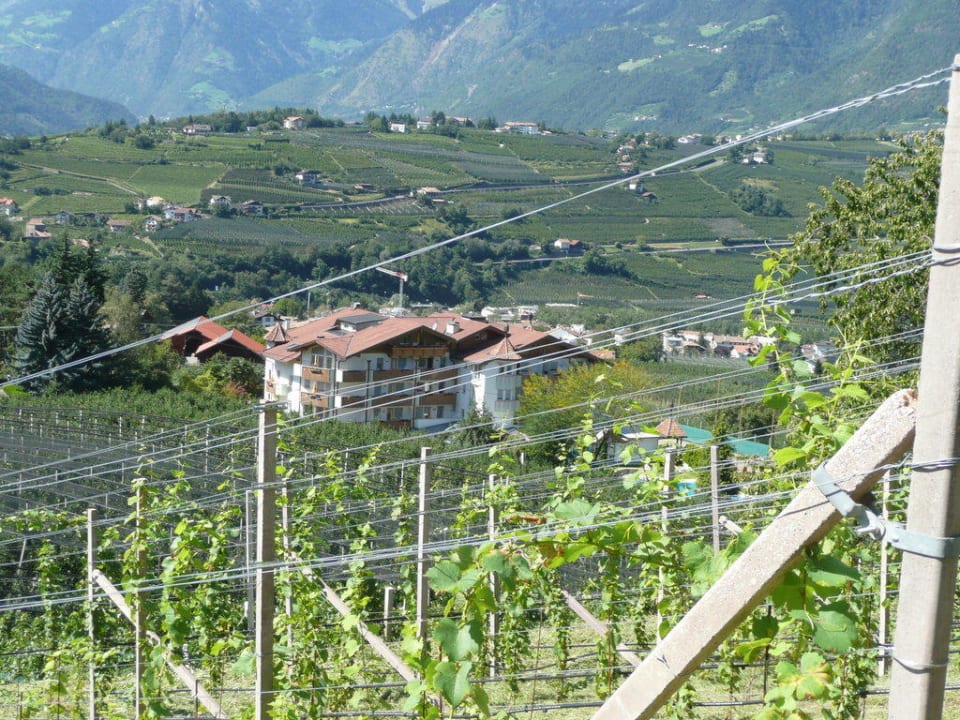 Sicht vom Wanderweg ab Schenna Hotel Burggräflerhof