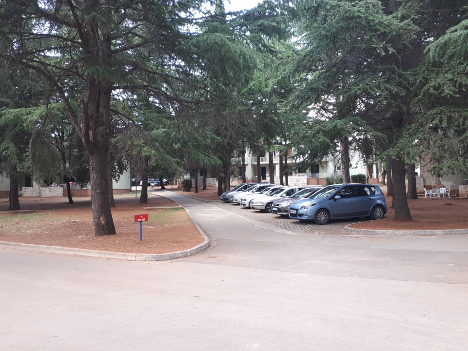Gartenanlage Apartments Katoro Plava Laguna