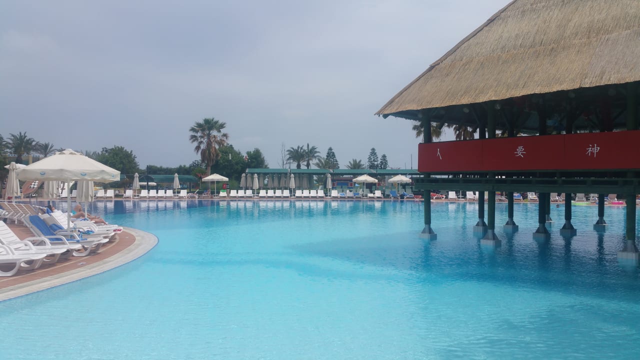 Pool AQI Pegasos World