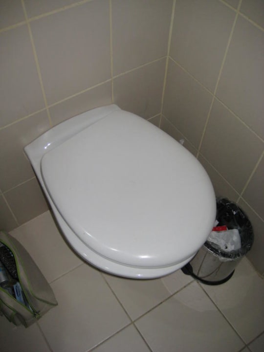 Toilette Falcon Hotel