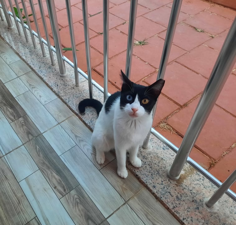 Sonstiges Seher Kumköy Star Resort & Spa