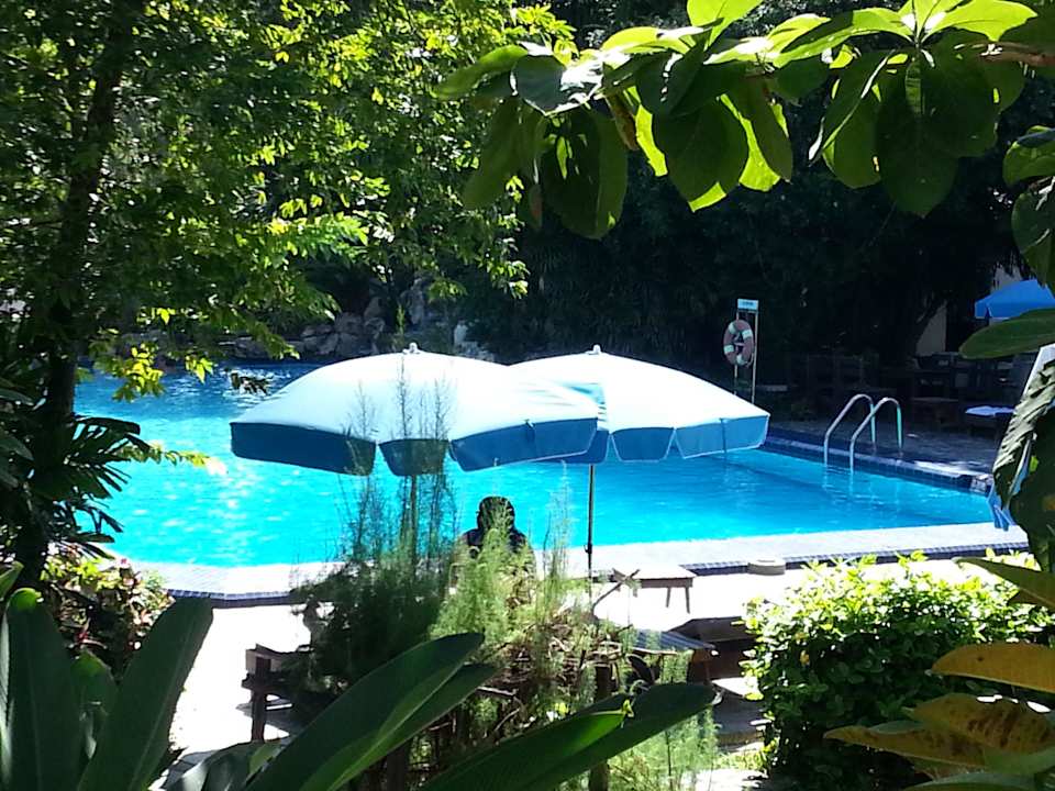 Pool vom Zimmer aus Hotel Garden Lodge