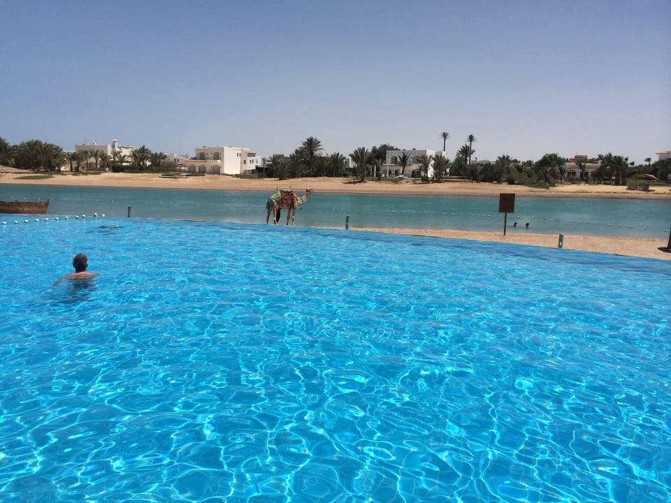 Lagunenpool mit Lagune Mövenpick Resort & Spa El Gouna